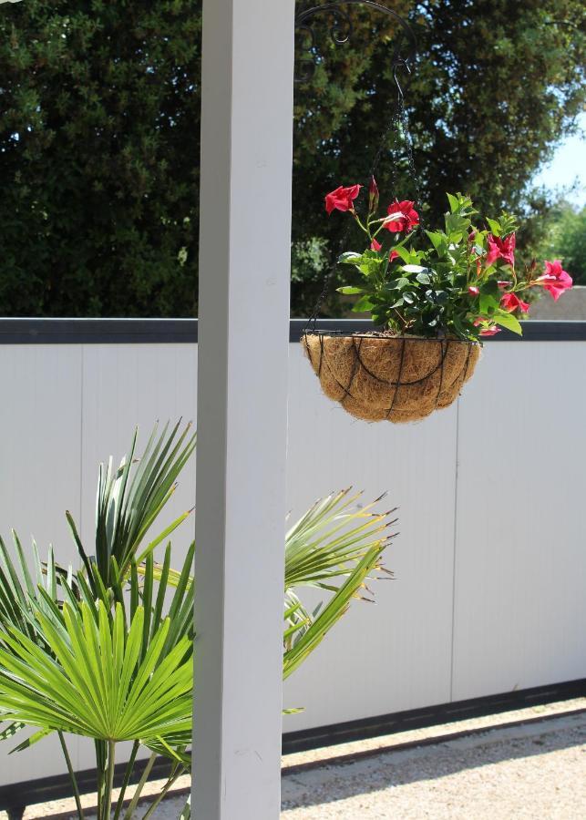 Villa Oliven Garden Rovinj Exterior foto