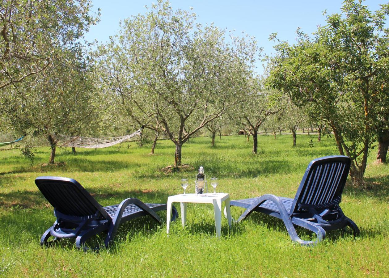 Villa Oliven Garden Rovinj Exterior foto