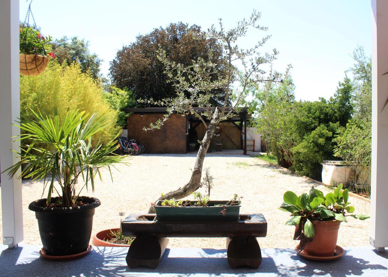 Villa Oliven Garden Rovinj Exterior foto